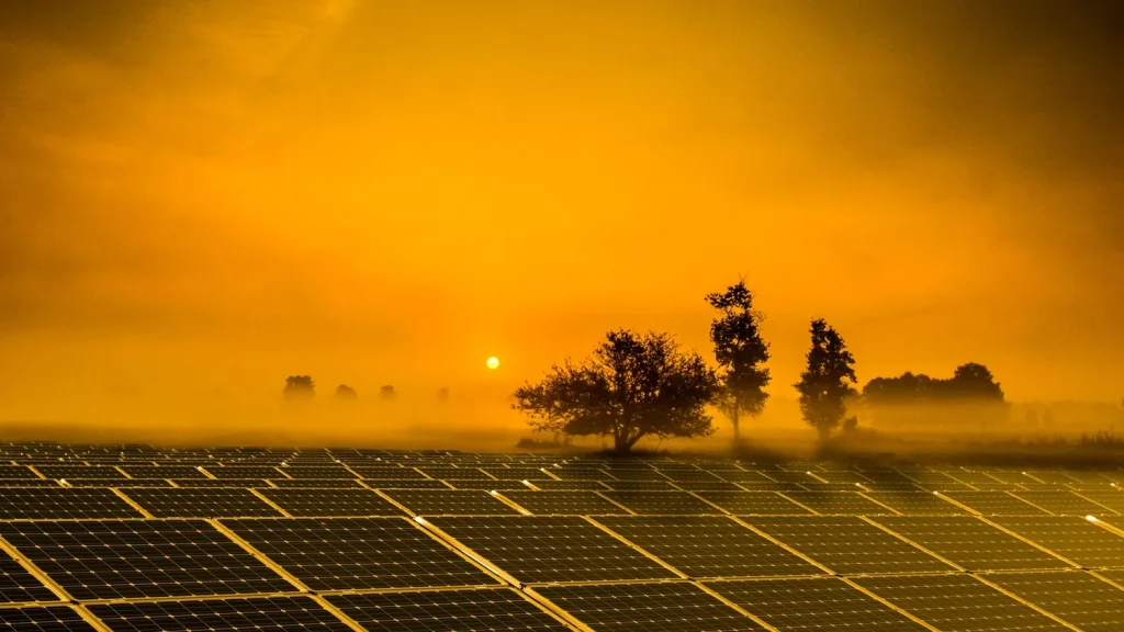 Leasing na fotowoltaikę i magazyn energii: analiza opłacalności dla B2B