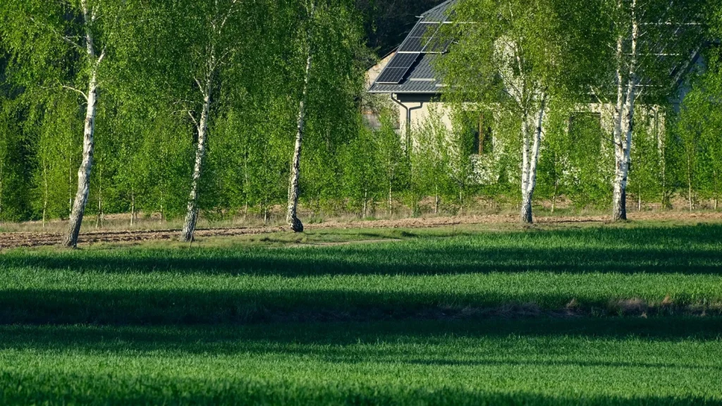 Prąd na działce przez cały sezon: plan zasilania krok po kroku