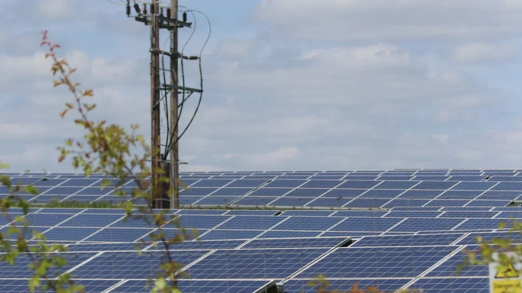 Ujemne ceny energii w Polsce - rozkład godzin i miesięcy z ceną poniżej zera